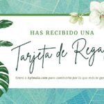 Rosas Significado,rosas,rosas rojas,rosas blancas,rosas amarillas