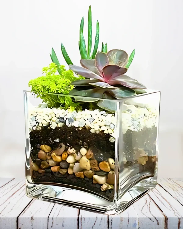 Arreglo de Cactus y Suculentas en cubo de vidrio