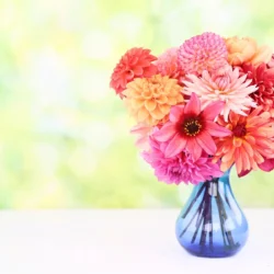 Cómo Prolongar la Duración de tus Arreglos Florales: 10 Consejos Infalibles