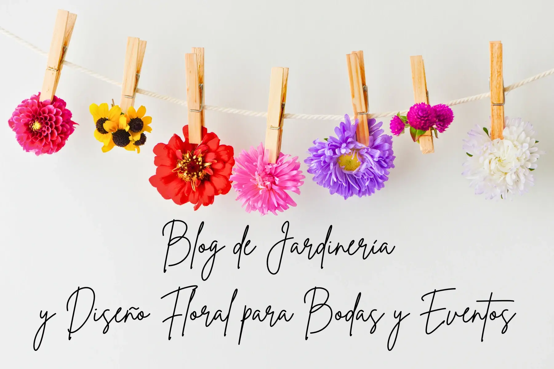 Blog de Jardinería y Diseño Floral para Bodas y Eventos