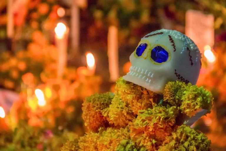 Cempasúchil, flor tradicional del Día de Muertos