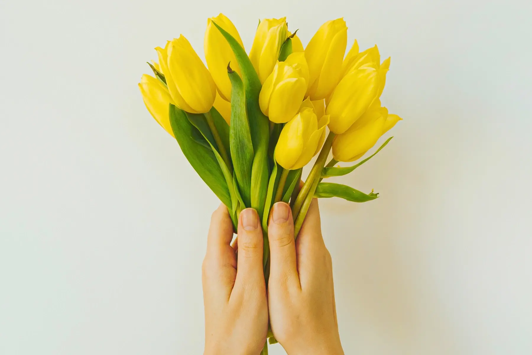 Flores Amarillas 21 de Septiembre: Significado en México