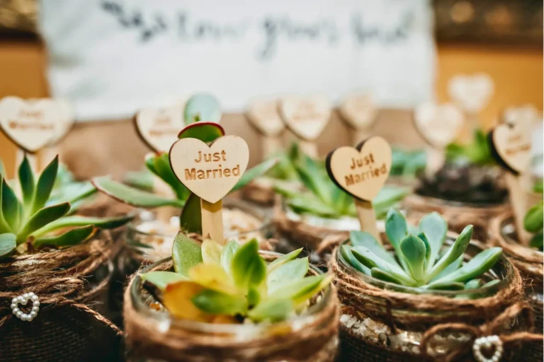 Plantitas de Recuerdo para Eventos: Suculentas y Cactus que Encantan y Perduran