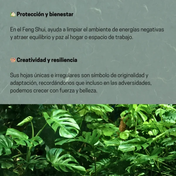 Collar de acero con dije de hoja de monstera deliciosa (Todo MX) - Imagen 5