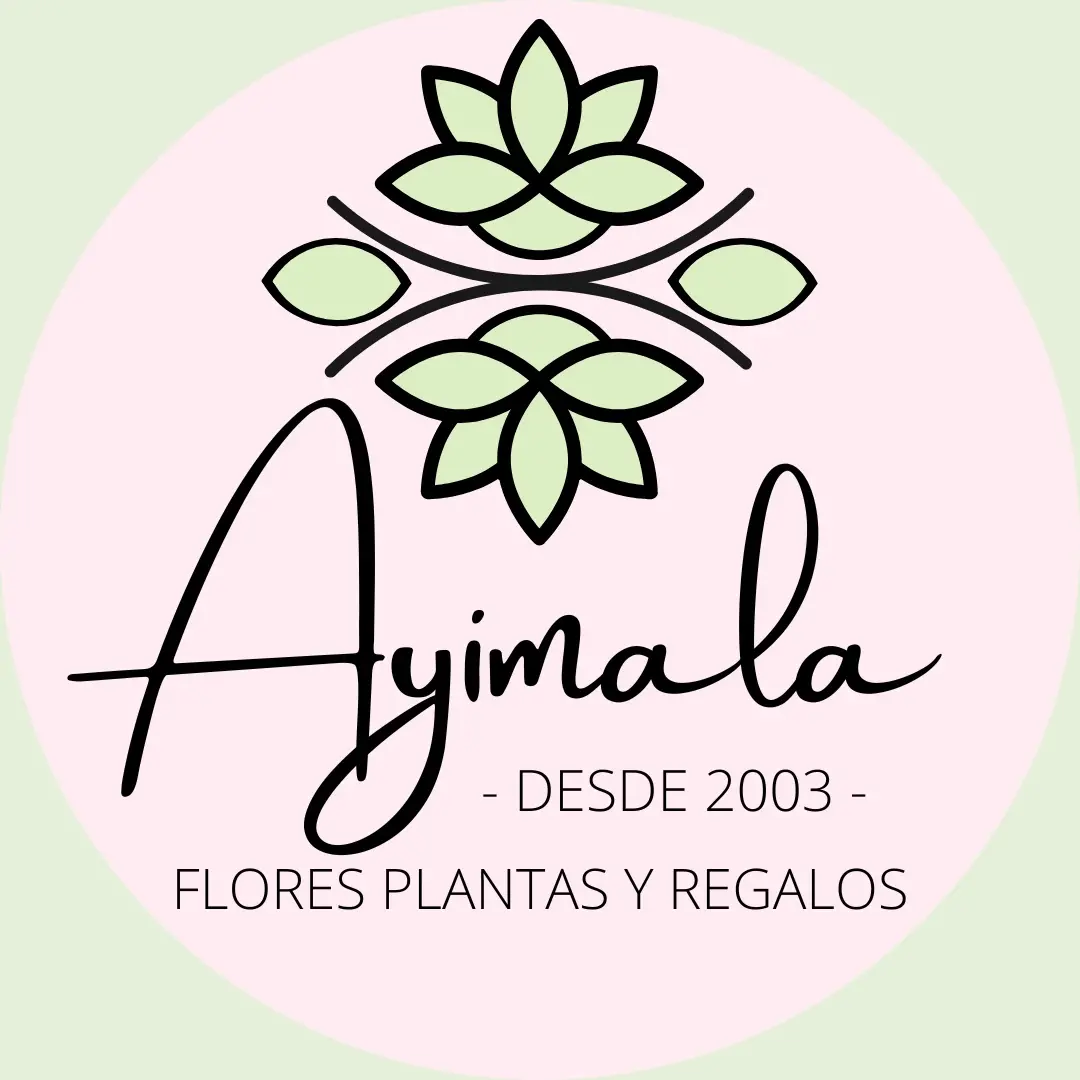 Ayimala Flores Plantas y Regalos CDMX